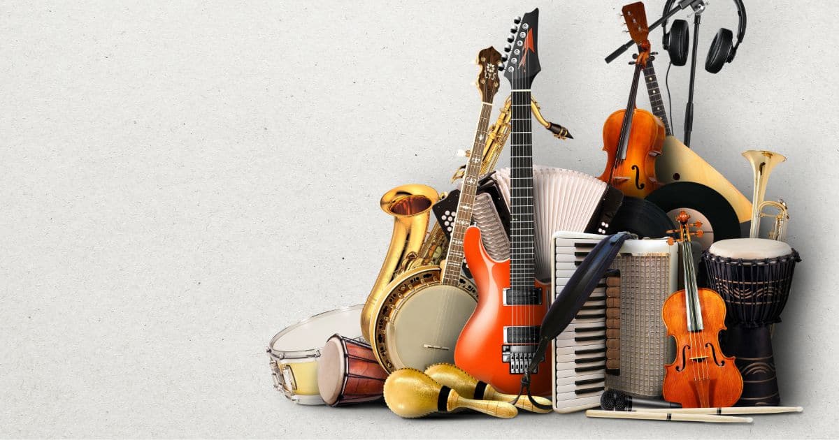 A Look at the Different Types Of Musical Instruments You Can Learn to